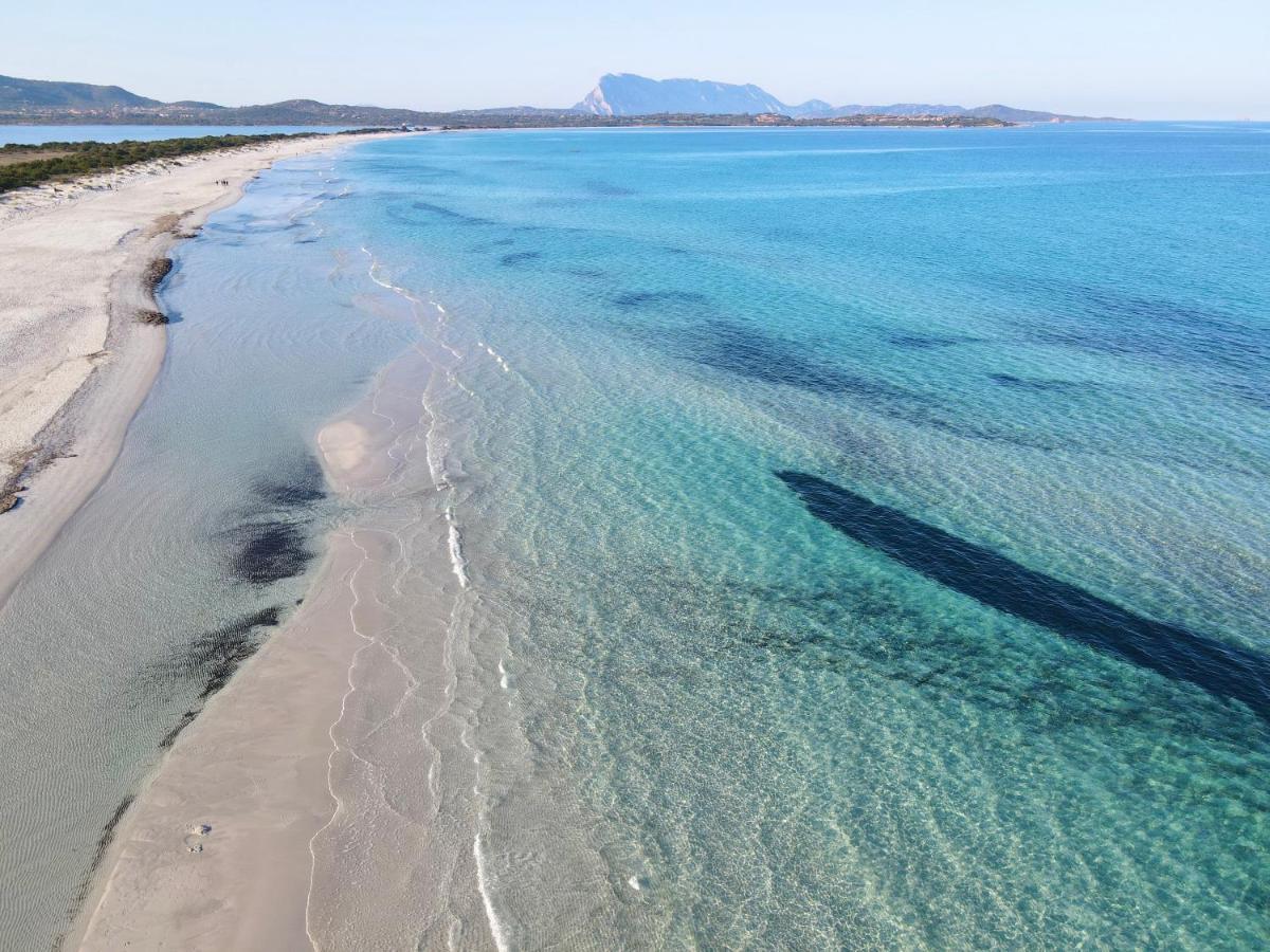 Iss Travel, San Teodoro 1 - 100 M From Cala D'Ambra Beach Exterior foto