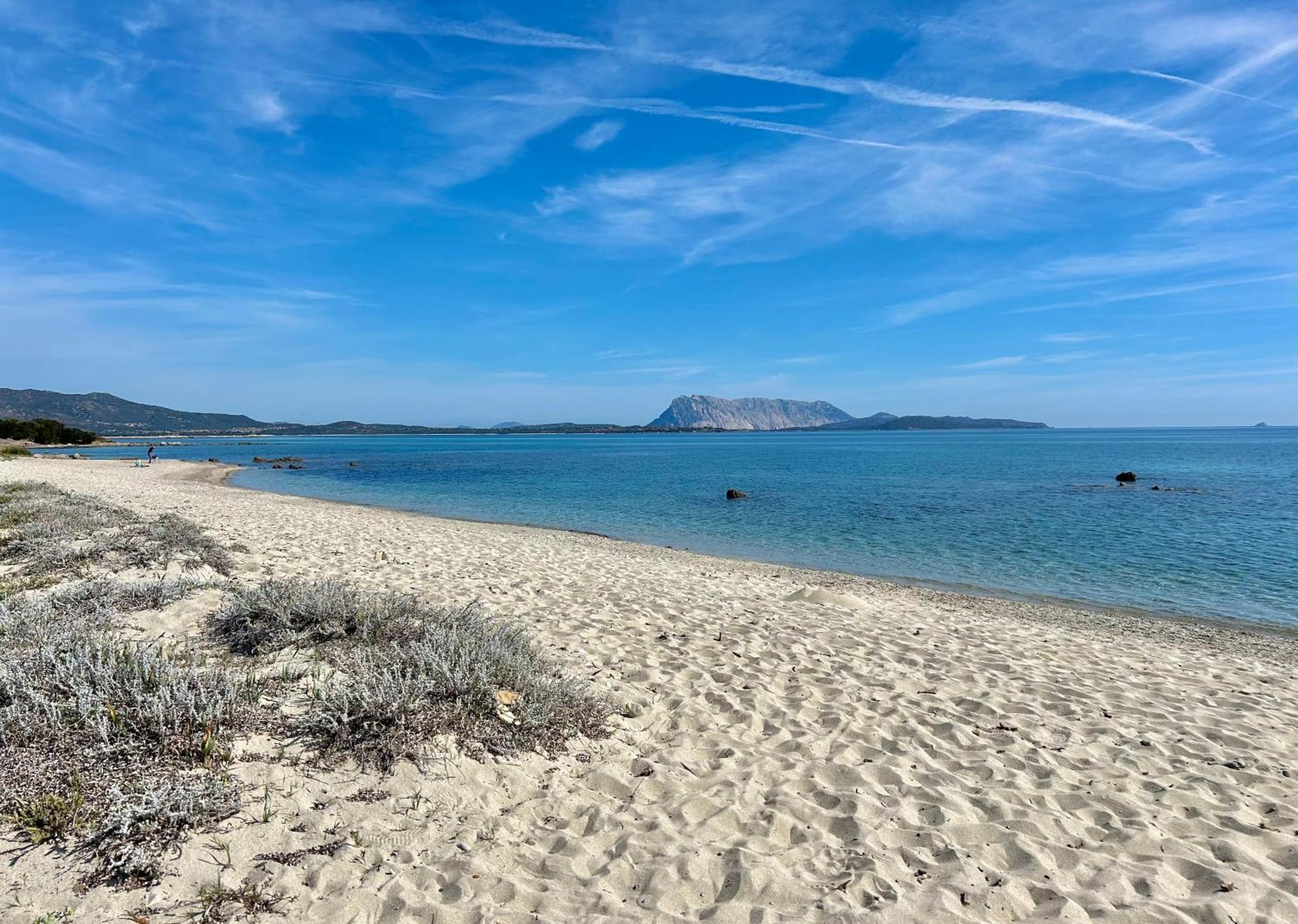 Iss Travel, San Teodoro 1 - 100 M From Cala D'Ambra Beach Exterior foto